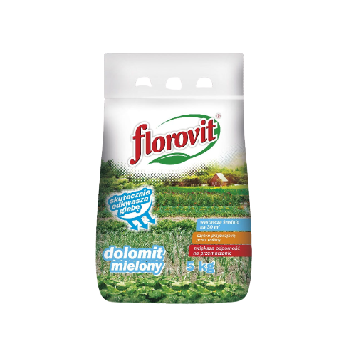 flor_dolo_5.png