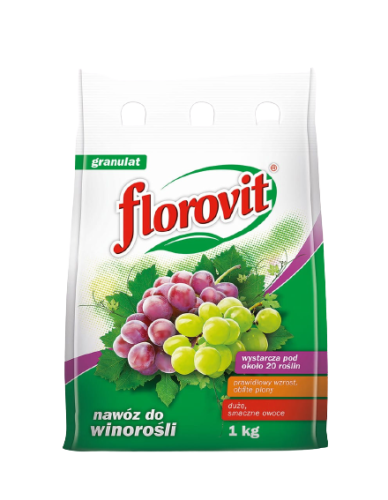 flor_win_1_wor.png