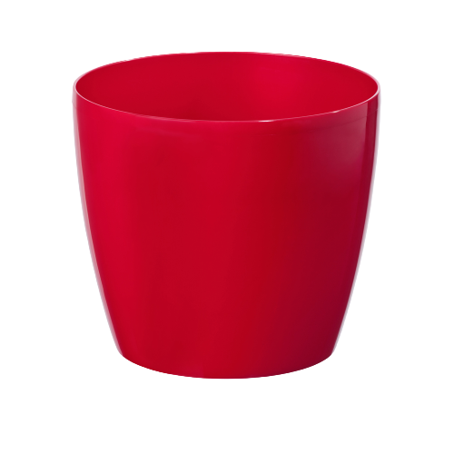 MAGNOLIA-CZERWONY-NR-01-removebg-preview.png