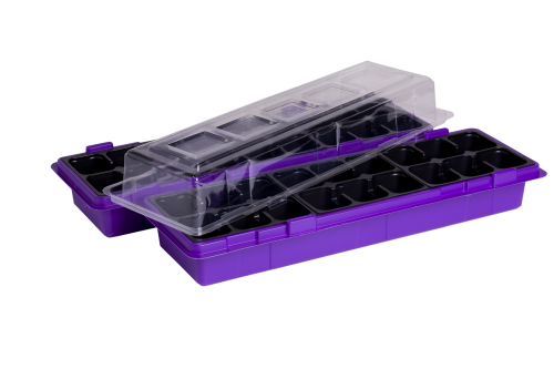 800107 WinDuo purple.png