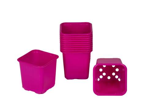 800563 Hobby 8cm pot.png