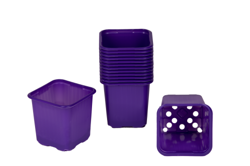 800106  Hobby 8cm pot.png