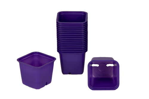 800105 Hobby 6cm pot.png