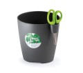 DLU_426U LIMES.jpg